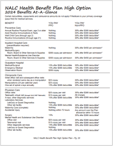 2024 High Option Benefits At-A-Glance