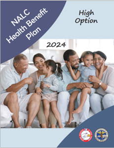 2024 High Option Benefits