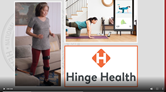 Image of Hinge Video